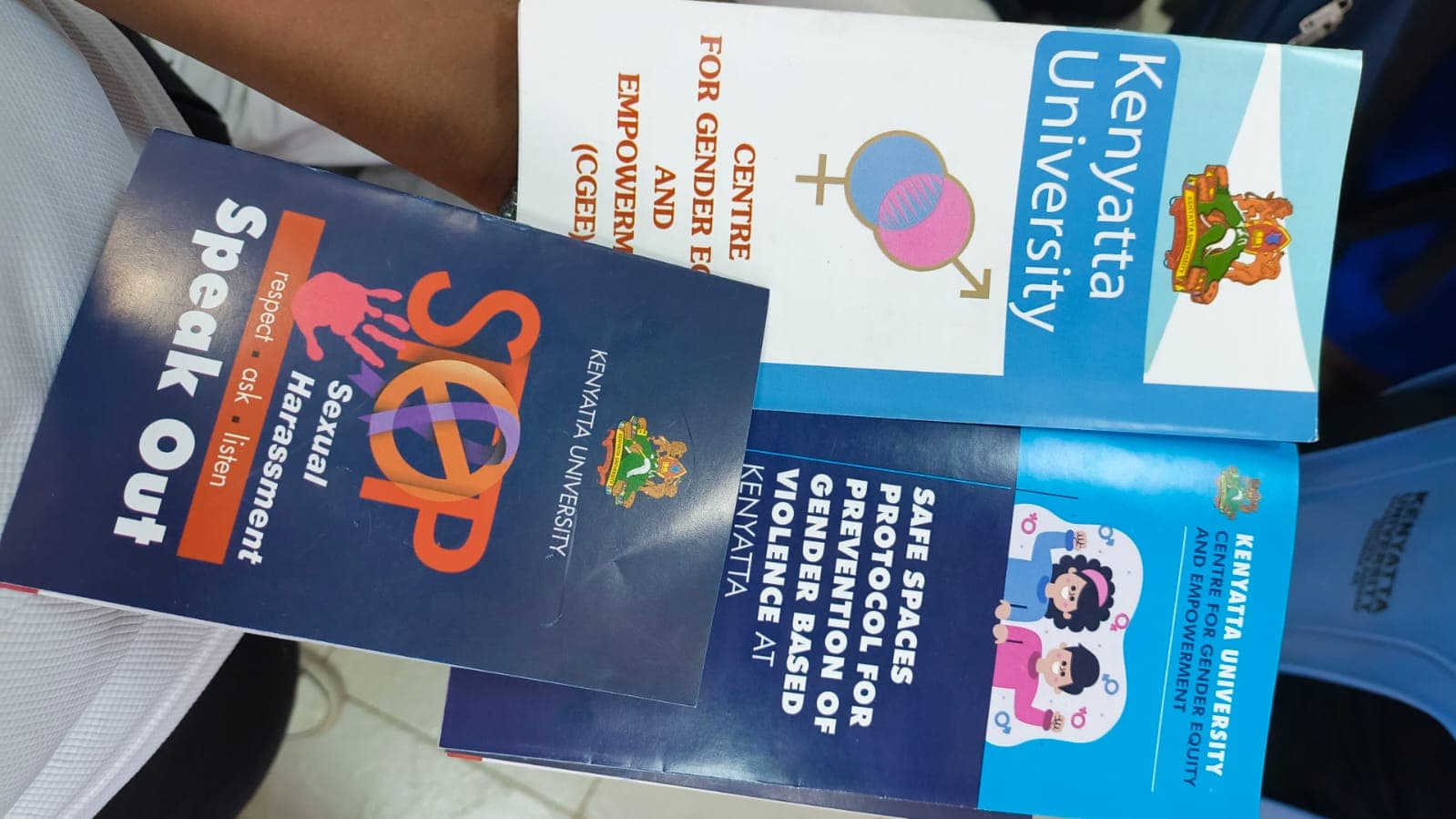 16 Days of Activism Against Gender-Based Violence and Political Spa