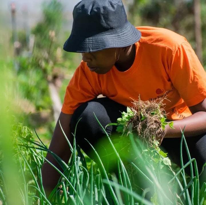 Grassroots Feminist Women Education